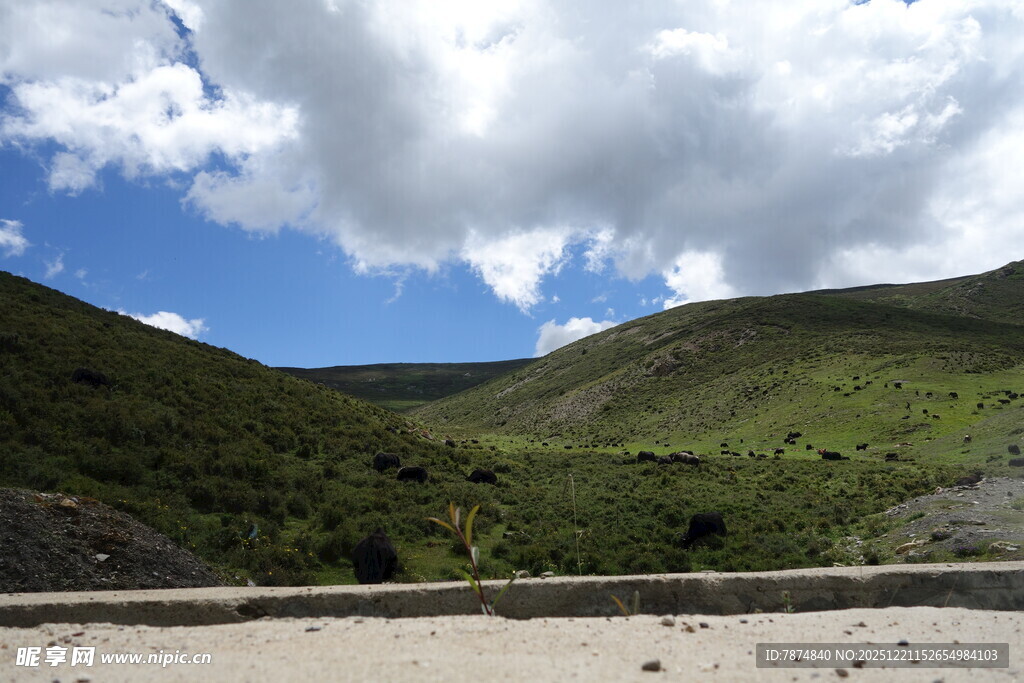 山间蓝天绿地美景
