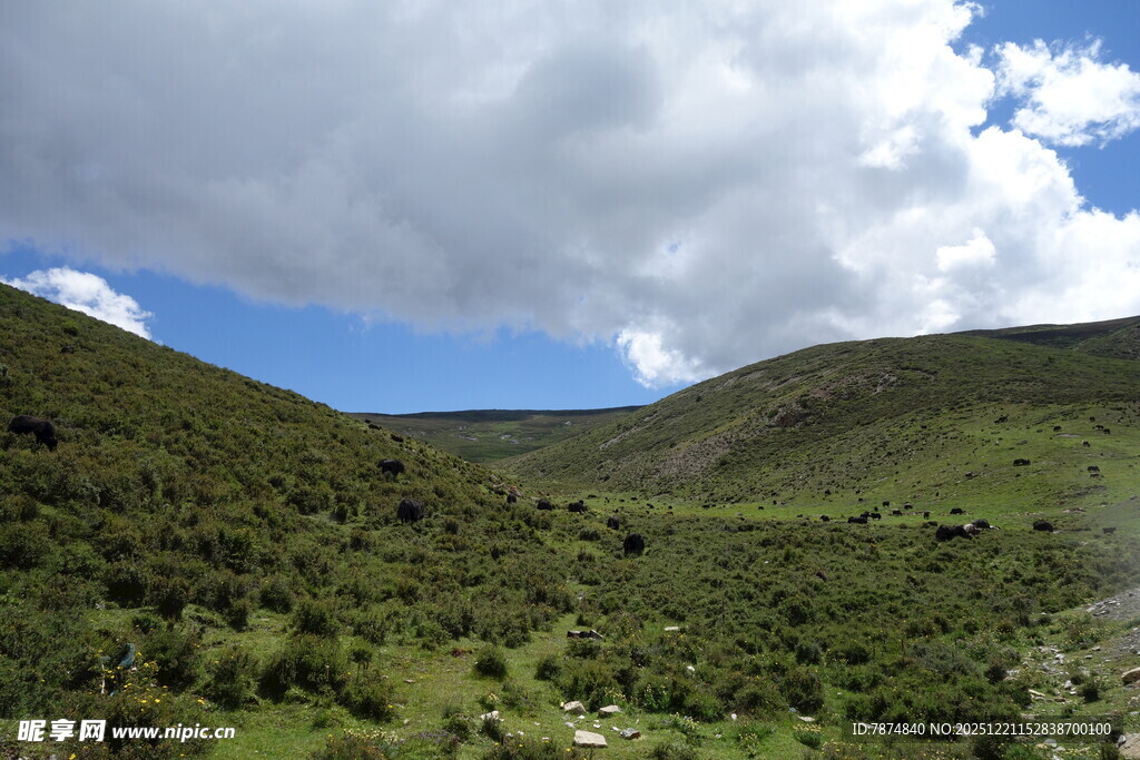 青山绿野间的壮阔自然景观