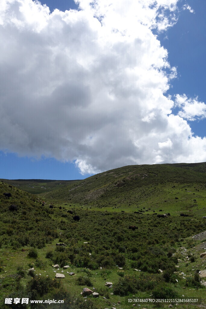 蓝天白云下的翠绿山坡