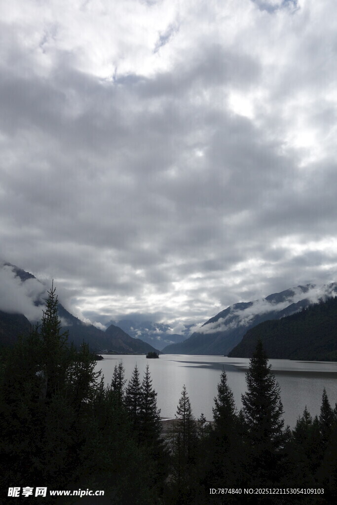 云雾笼罩下的山水森林景