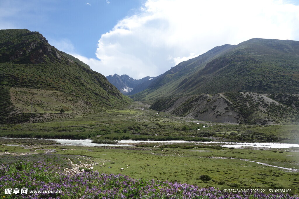 山间绿野美景如画