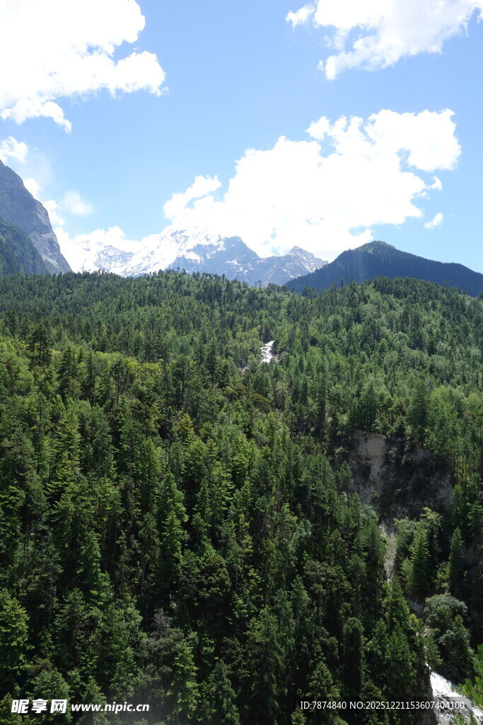 山林美景 绿意盎然的自然