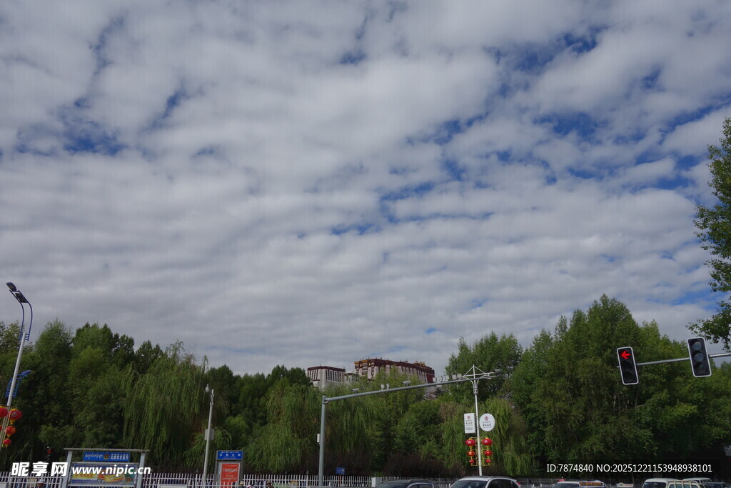 蓝天白云下的绿树城镇