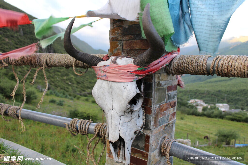 草原上的牛头骨装饰