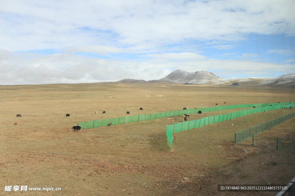 沙漠中的绿色围栏景观