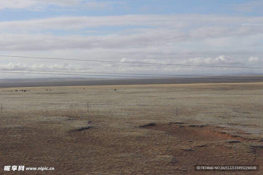 荒凉广袤的旷野景观