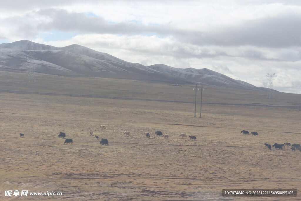 广袤荒凉的戈壁与远山