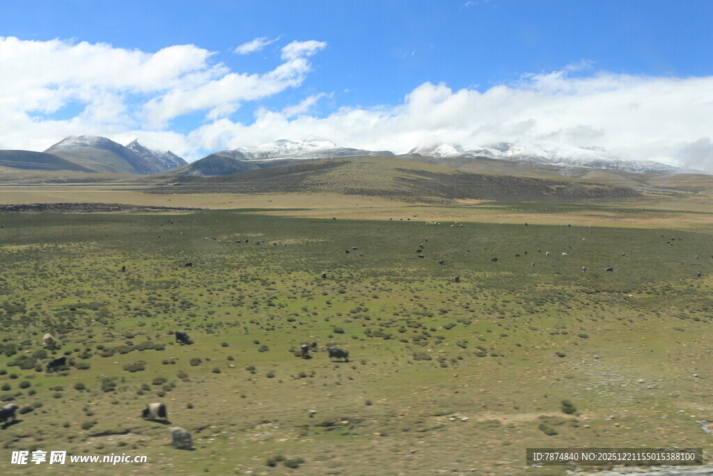 广袤草原与远处山峦风景