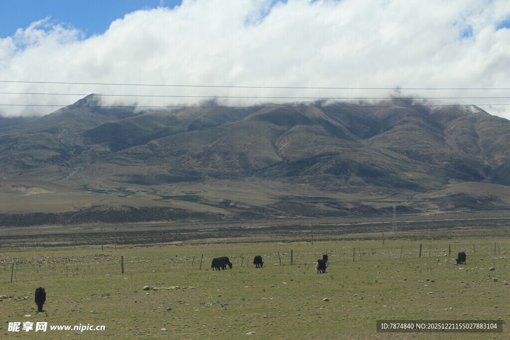 草原上的远行者与巍峨山脉