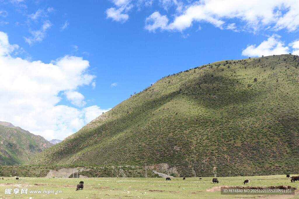 青山草原间的悠然牧场景象
