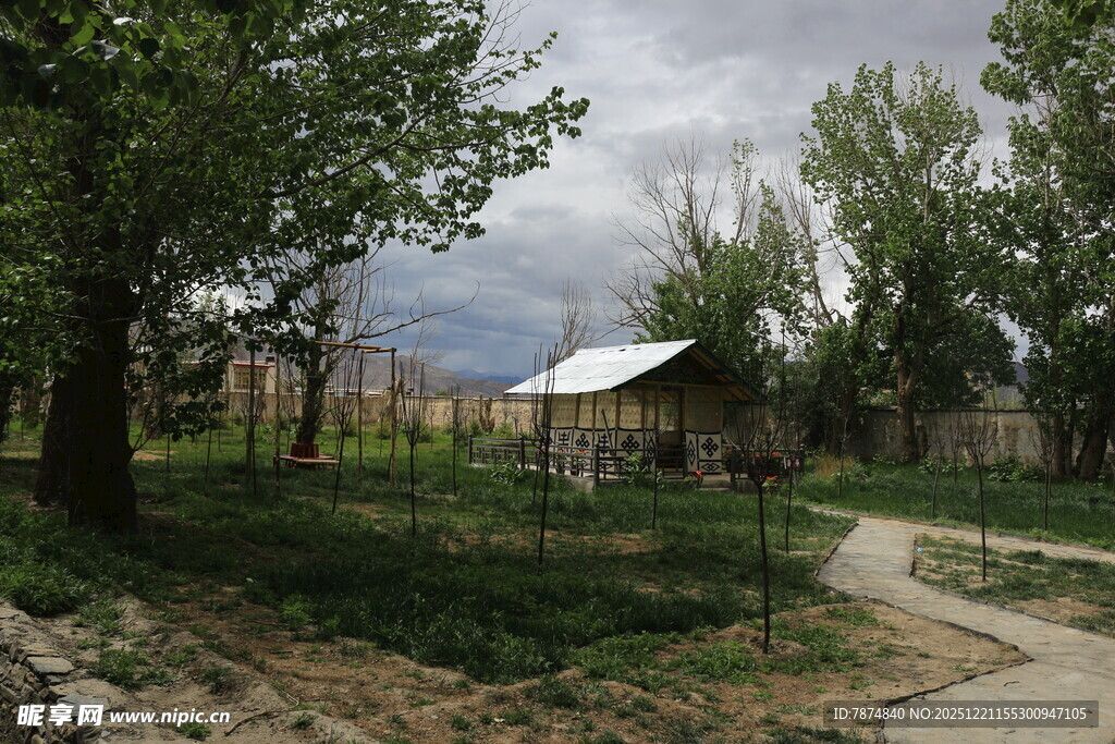 乡村小屋旁的宁静小路