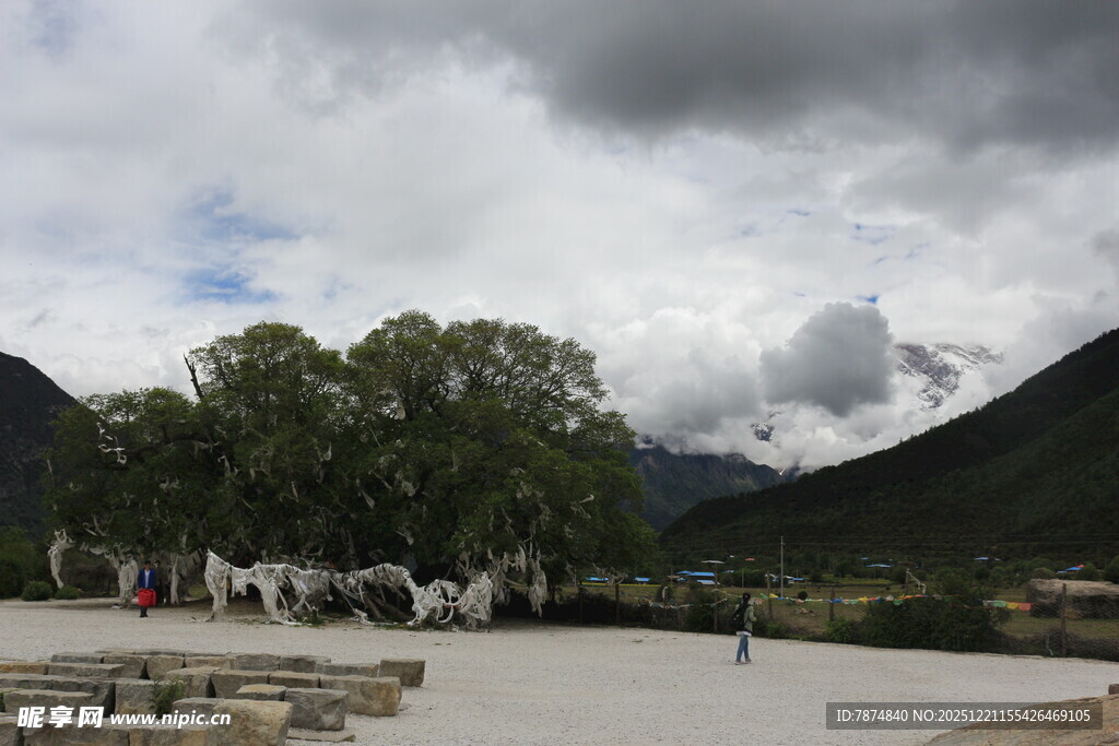 山间开阔场地与葱郁树木