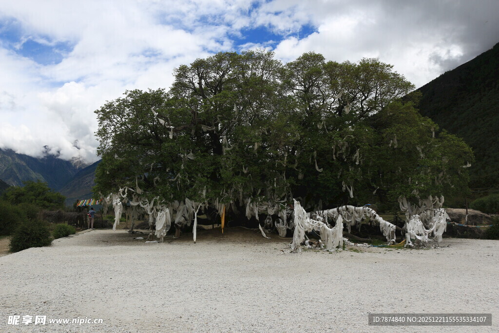 山间树下的白色雕塑群