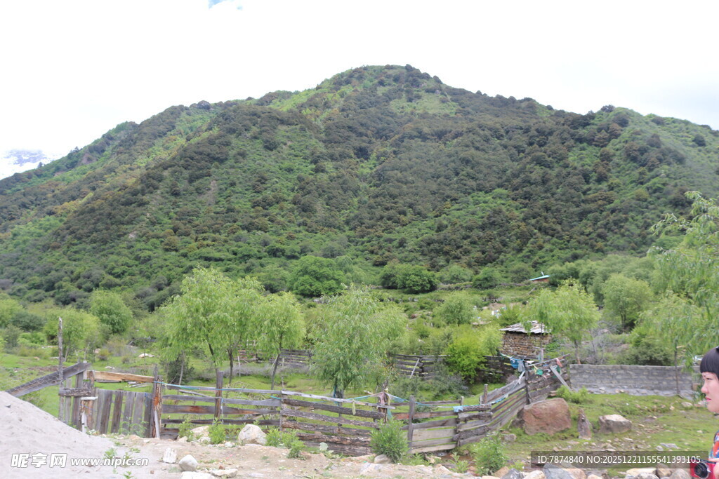 青山绿树旁的休闲场景