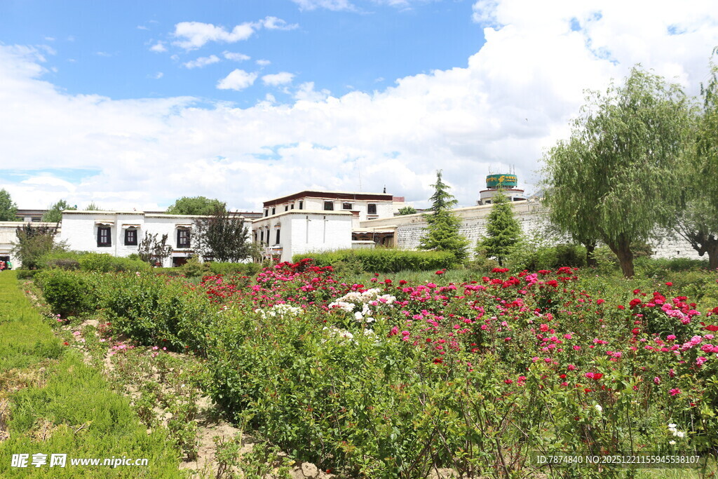 田园花海中的美丽民居