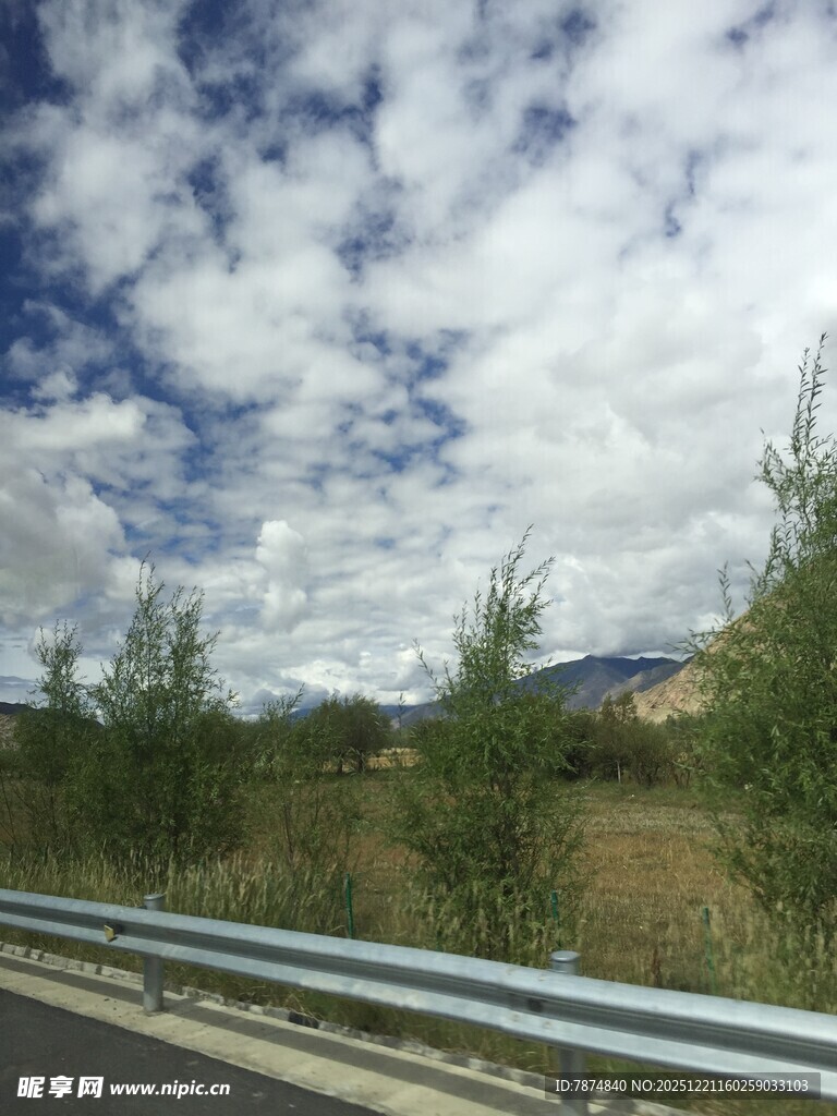 公路边的蓝天白云绿树