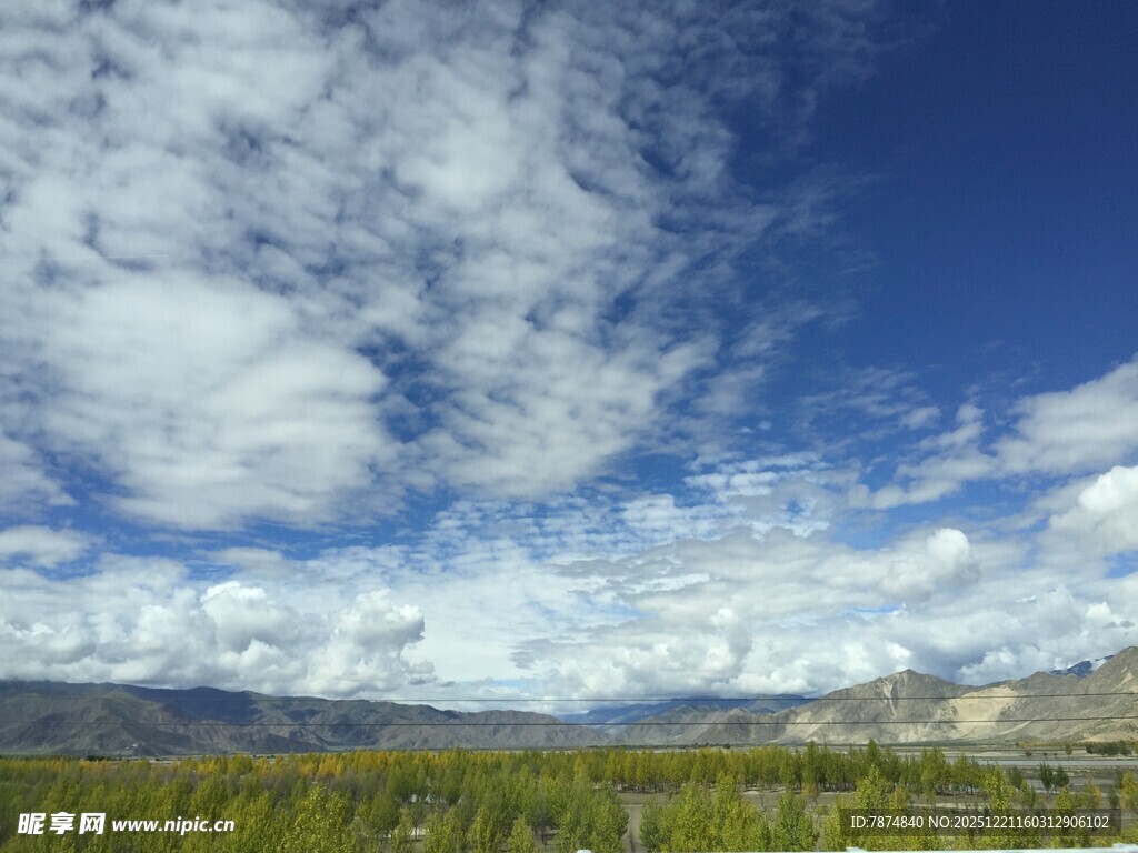 蓝天白云下的广袤原野