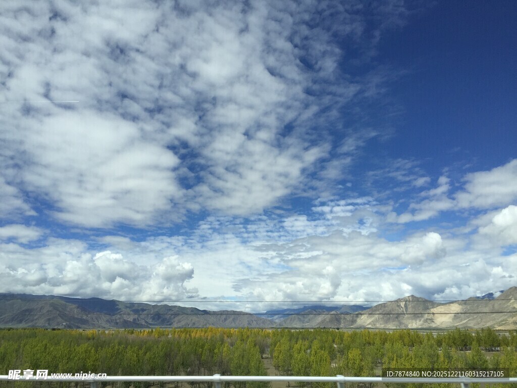 蓝天白云下的广袤原野