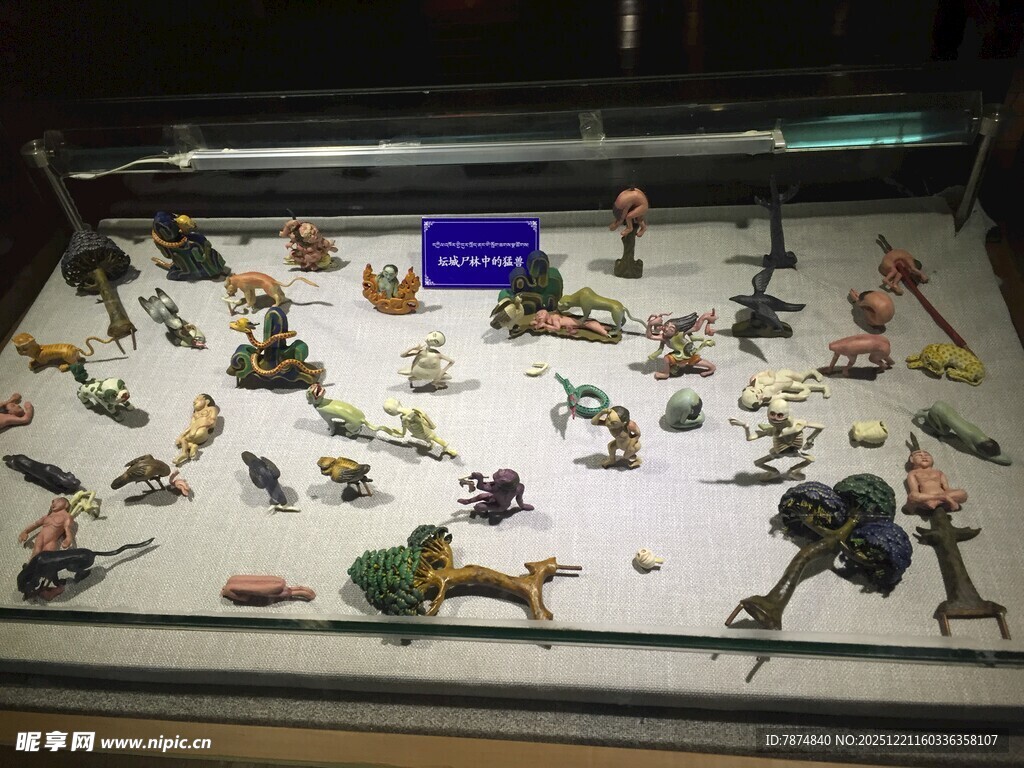 多样恐龙模型展示