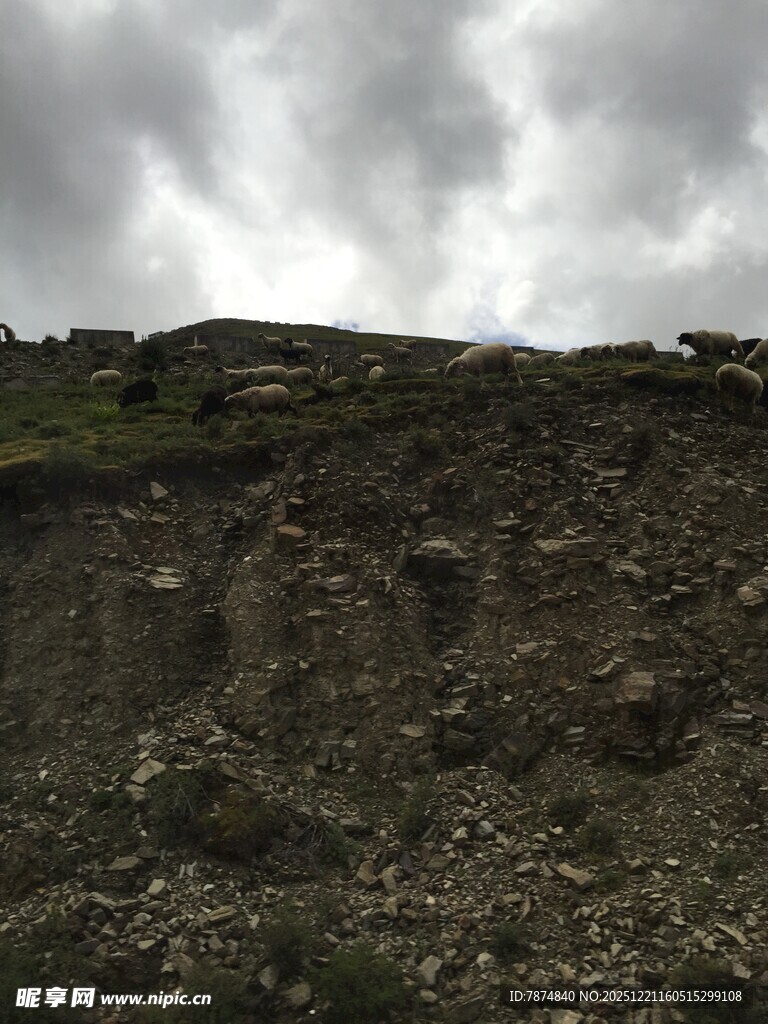 阴天下的荒芜山地景观