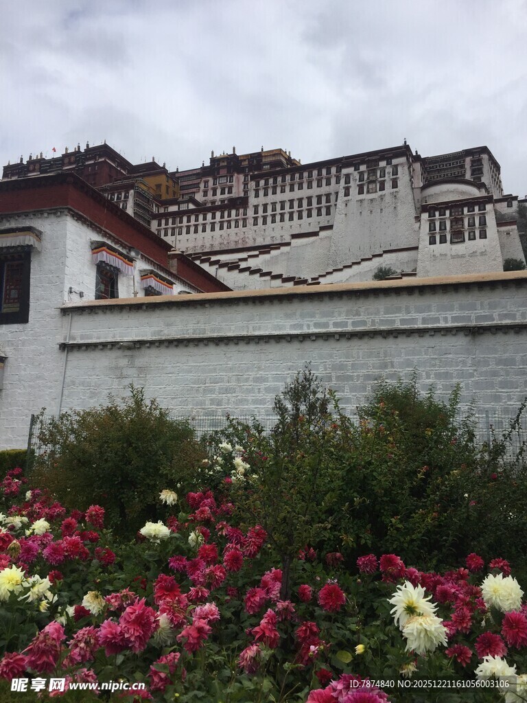 布达拉宫前的缤纷花卉