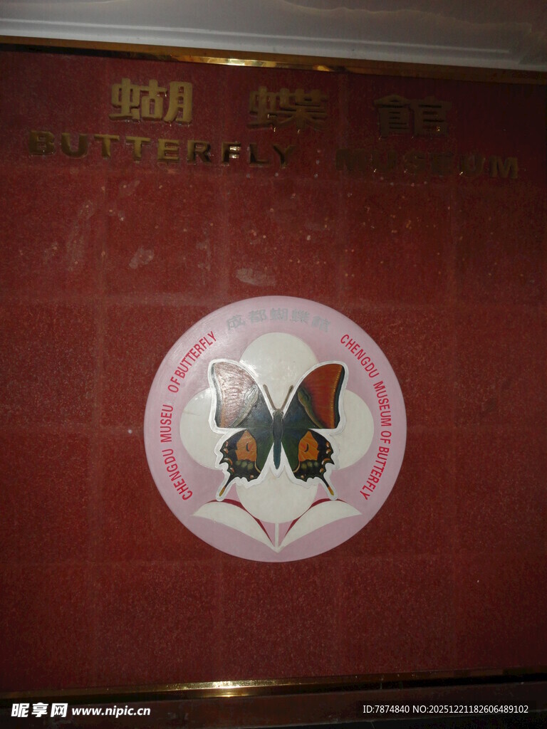 圆形蝴蝶装饰墙面图案