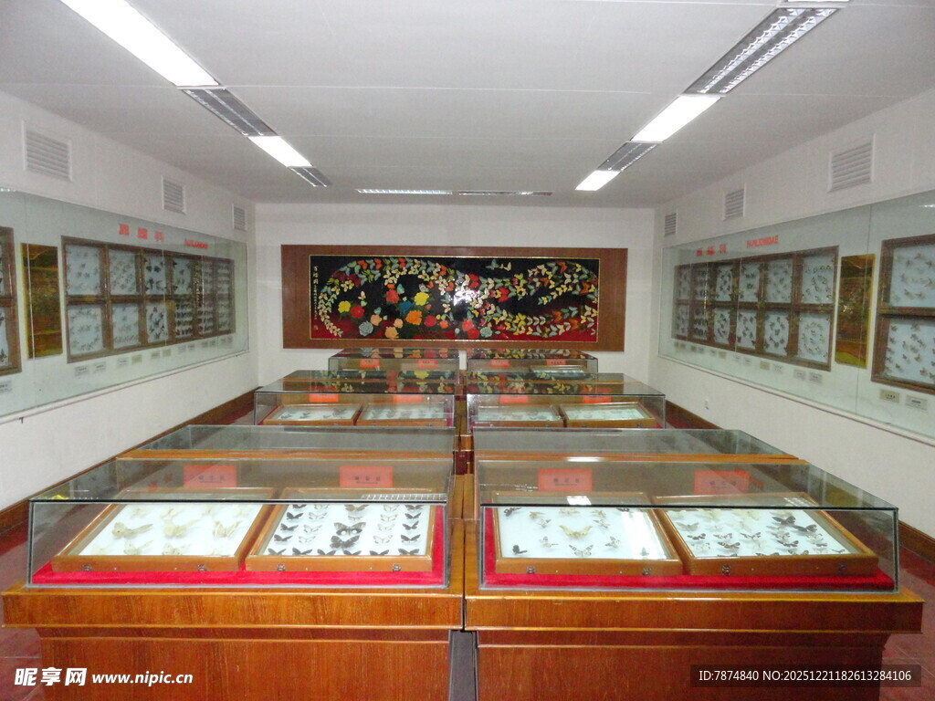 古籍展厅陈列丰富典籍