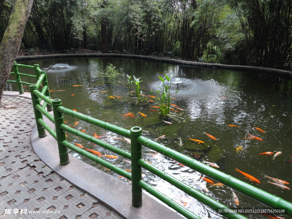 池塘边的绿色围栏与金鱼
