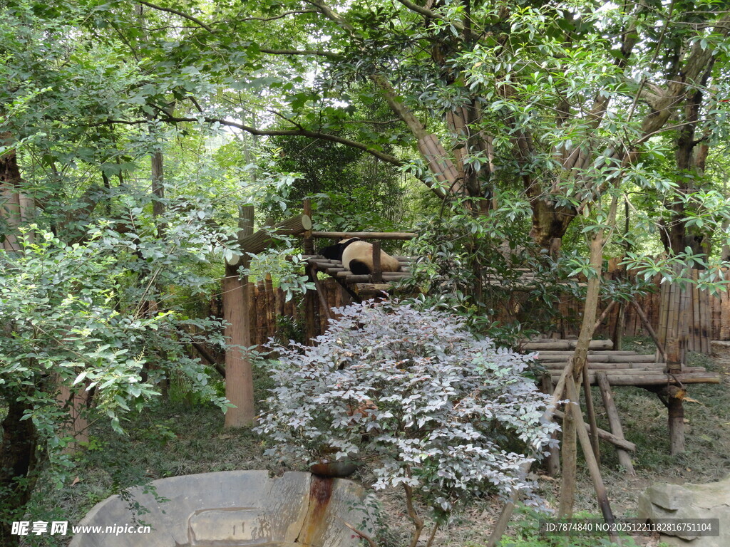 静谧园林景观一角