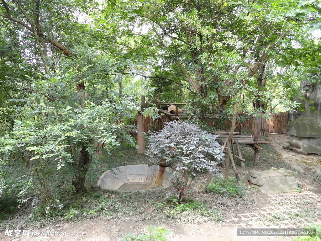 林间小屋隐于繁茂绿植中