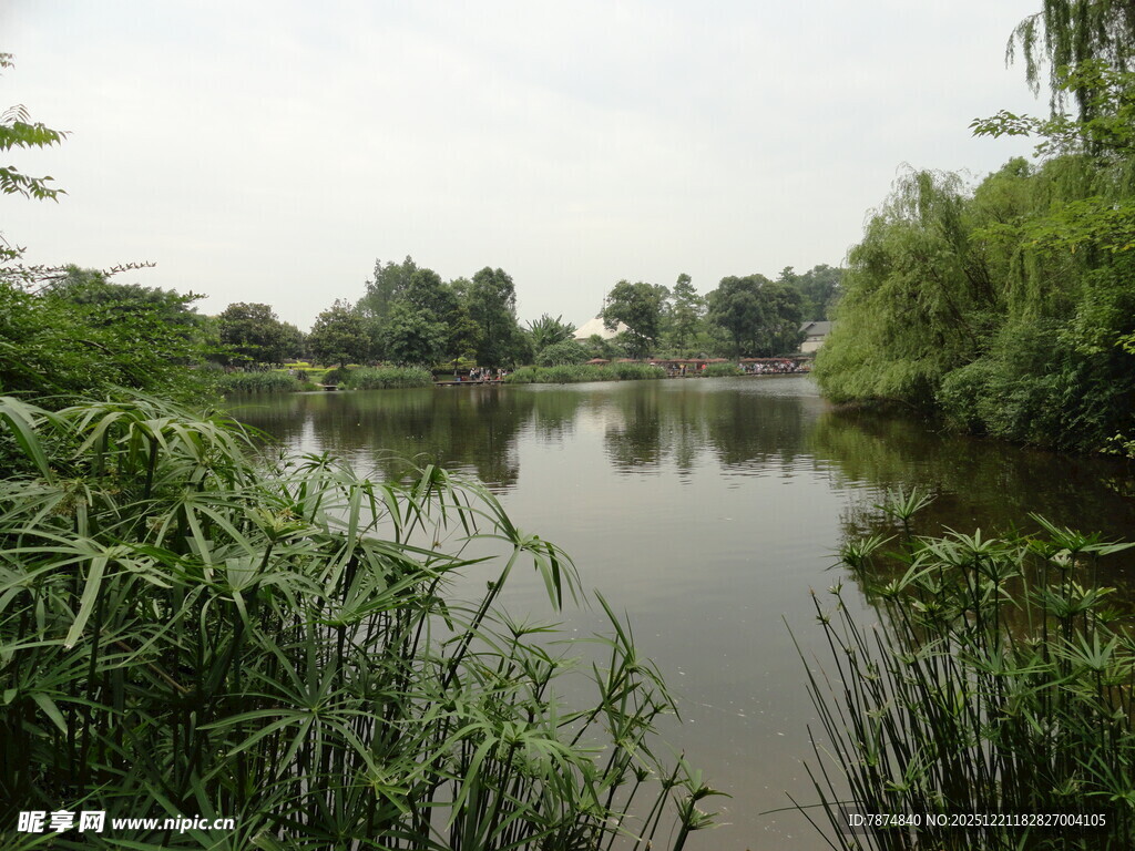 宁静湖畔绿植环绕美景