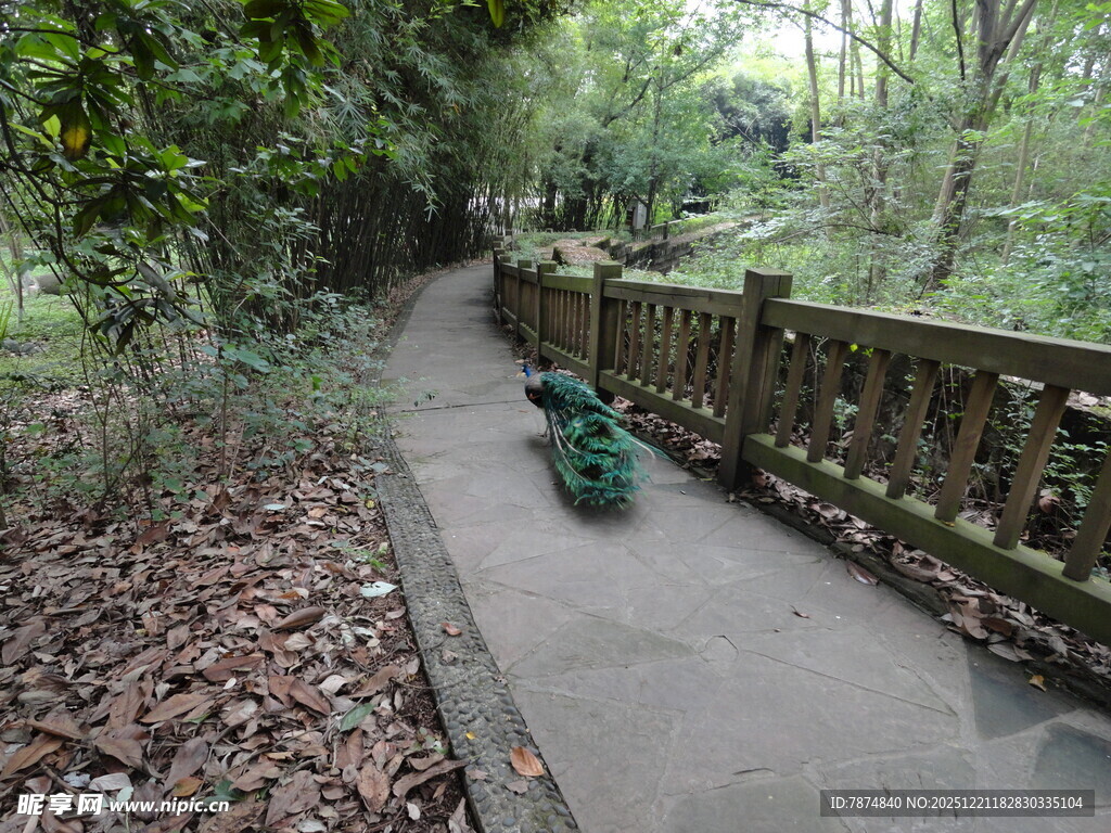 林间小径上的绿色雕塑