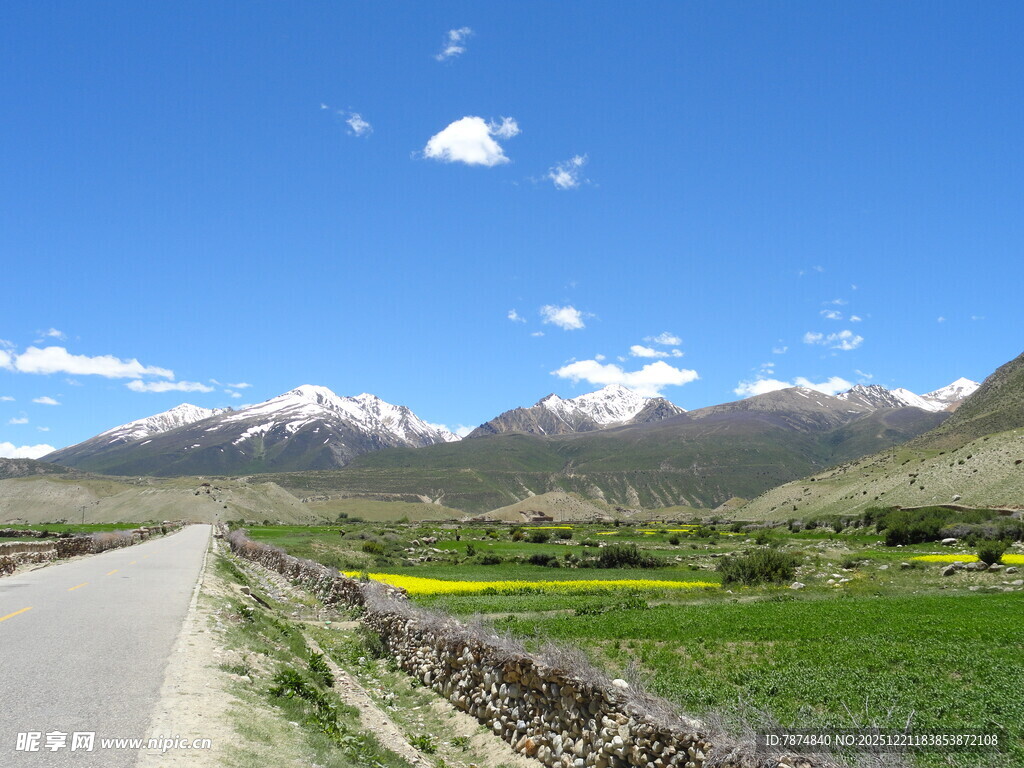 山间公路旁的美丽田园风光
