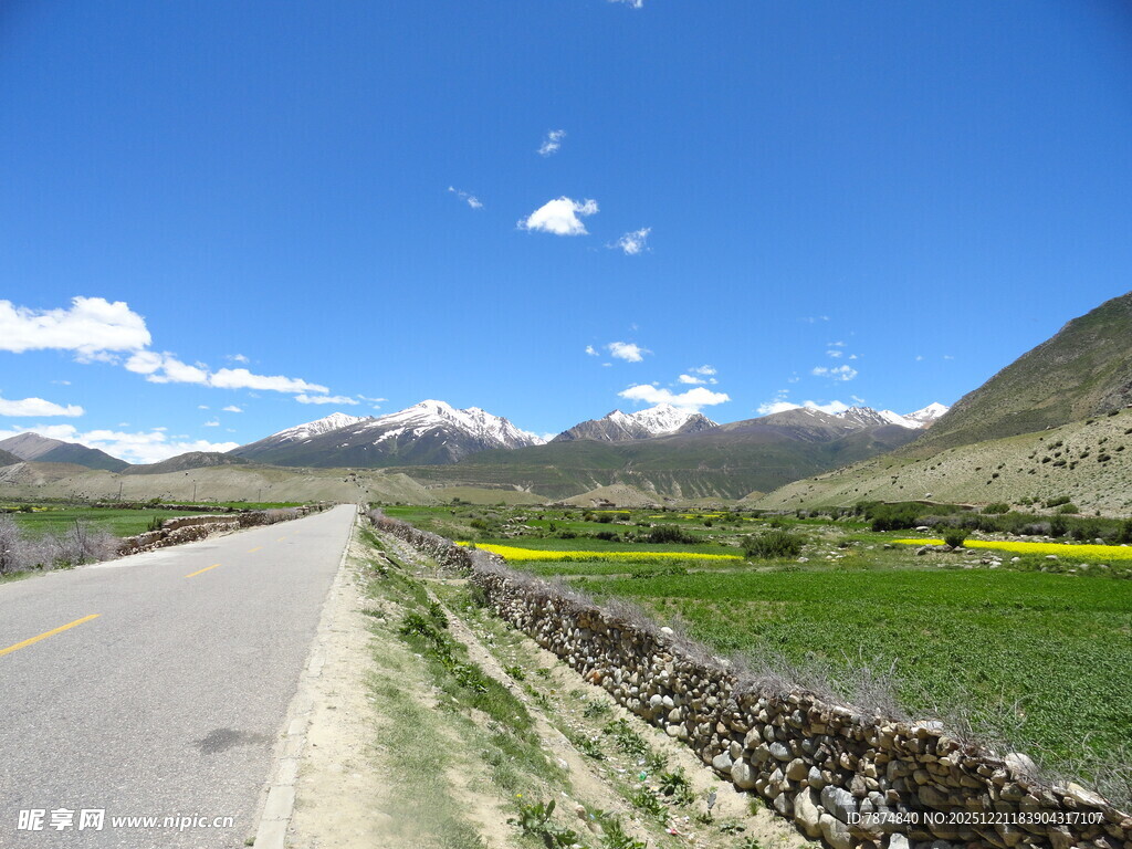 山间公路旁的田园风光