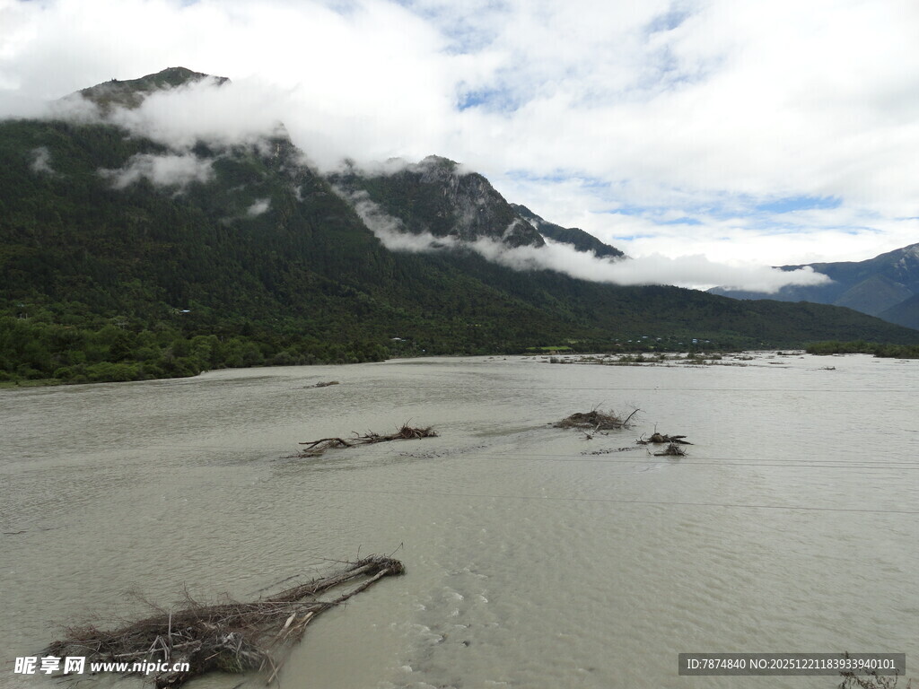山间河流与漂浮枯木景观