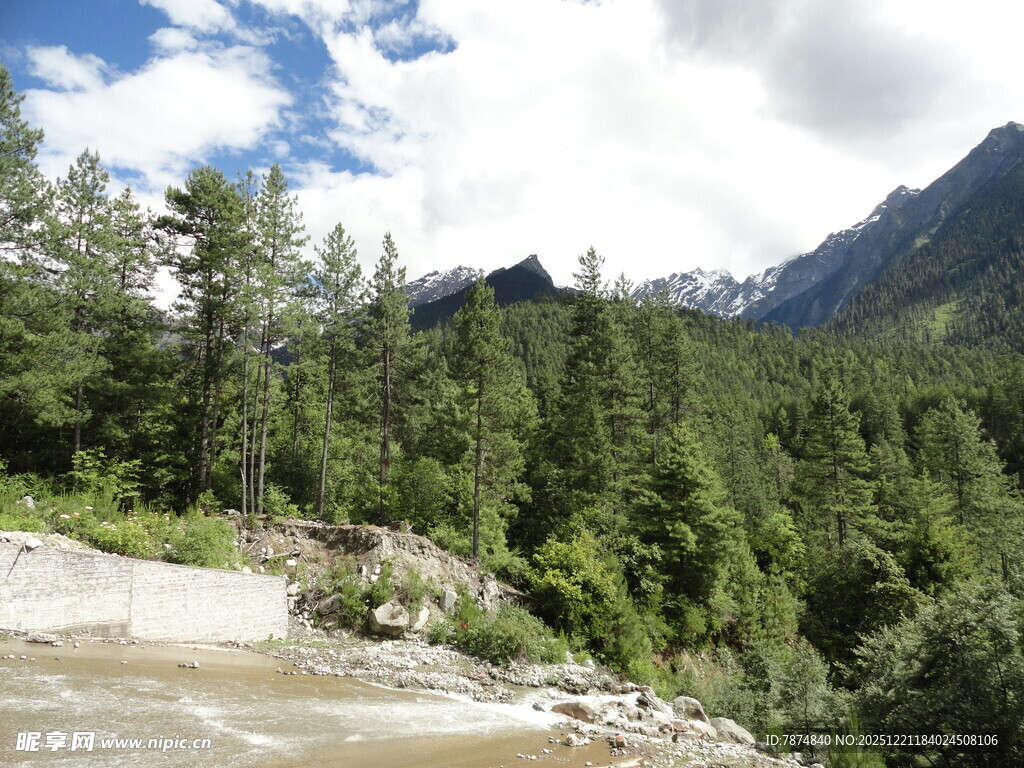 山林间的清澈溪流景观