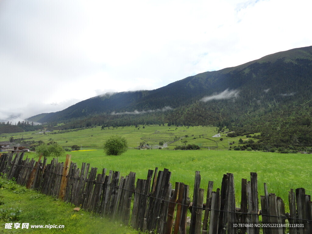 田园木栅栏 绿野青山景
