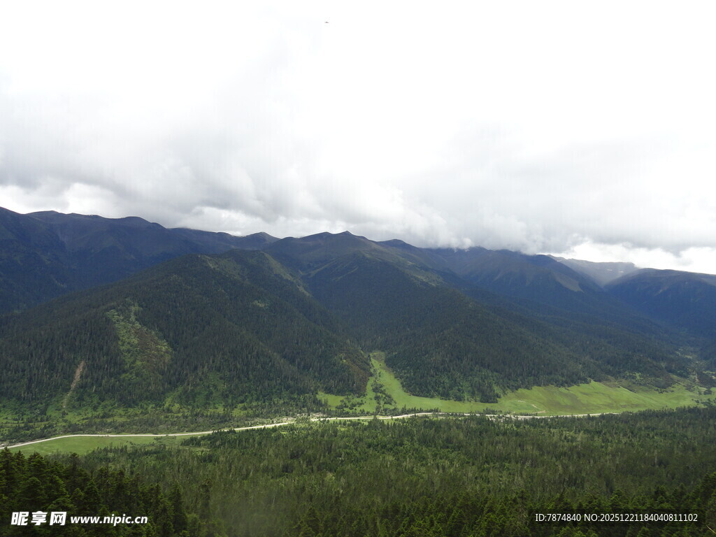 云雾缭绕的山间绿色景致