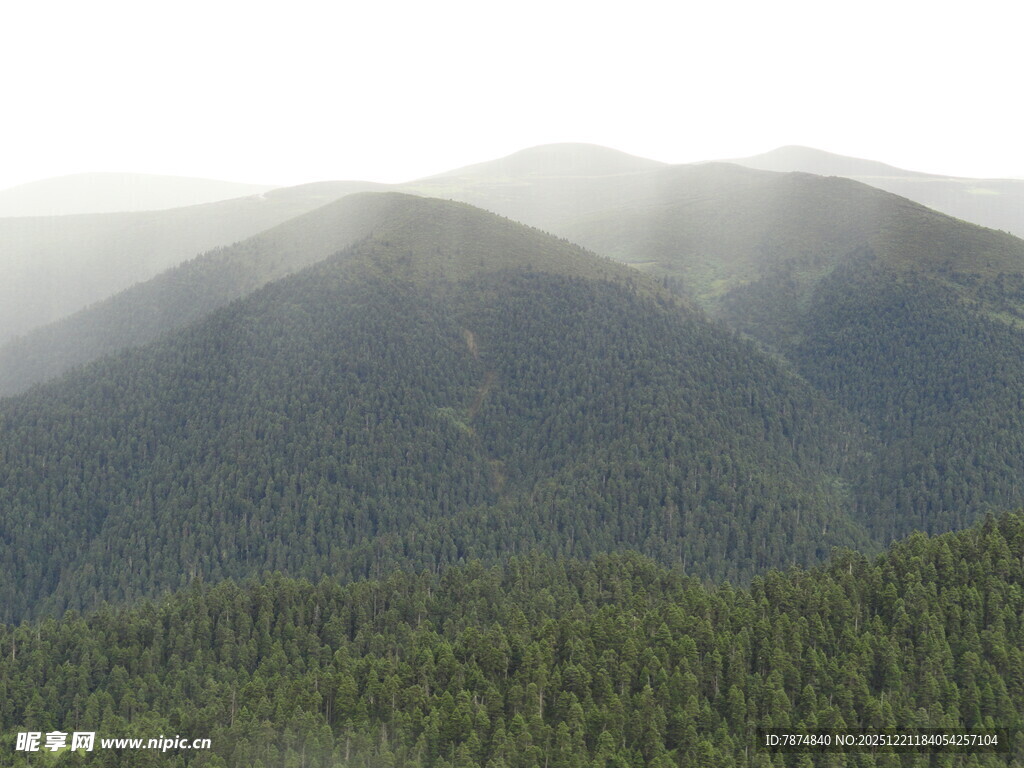 云雾缭绕的山林美景