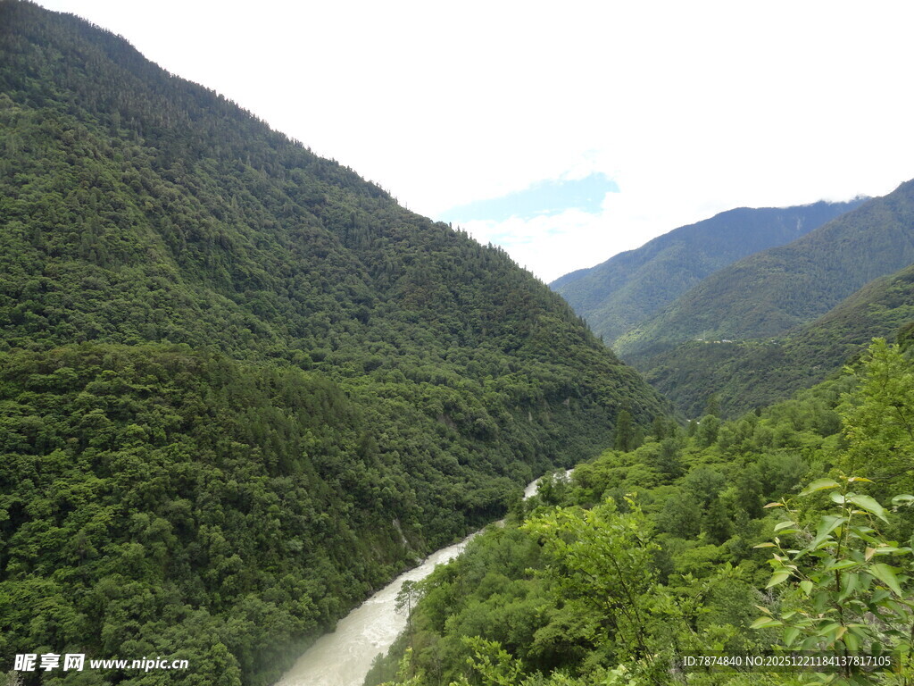 山间河谷绿意盎然景观