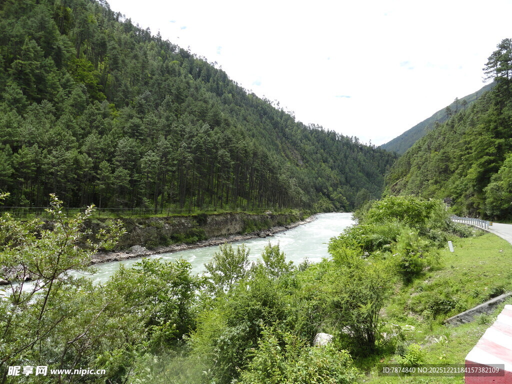 山间河流旁的葱郁景致