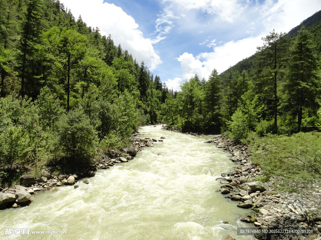 山间清澈河流与葱郁林木