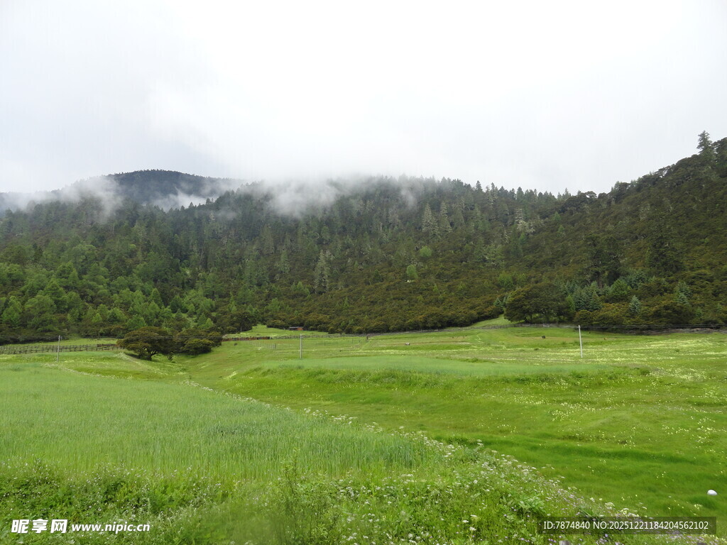 山间绿野云雾缭绕之景