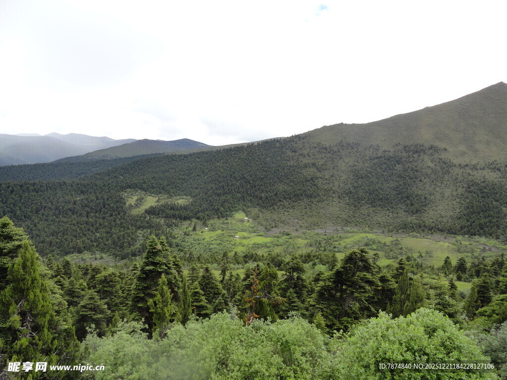 山林葱郁的自然景观
