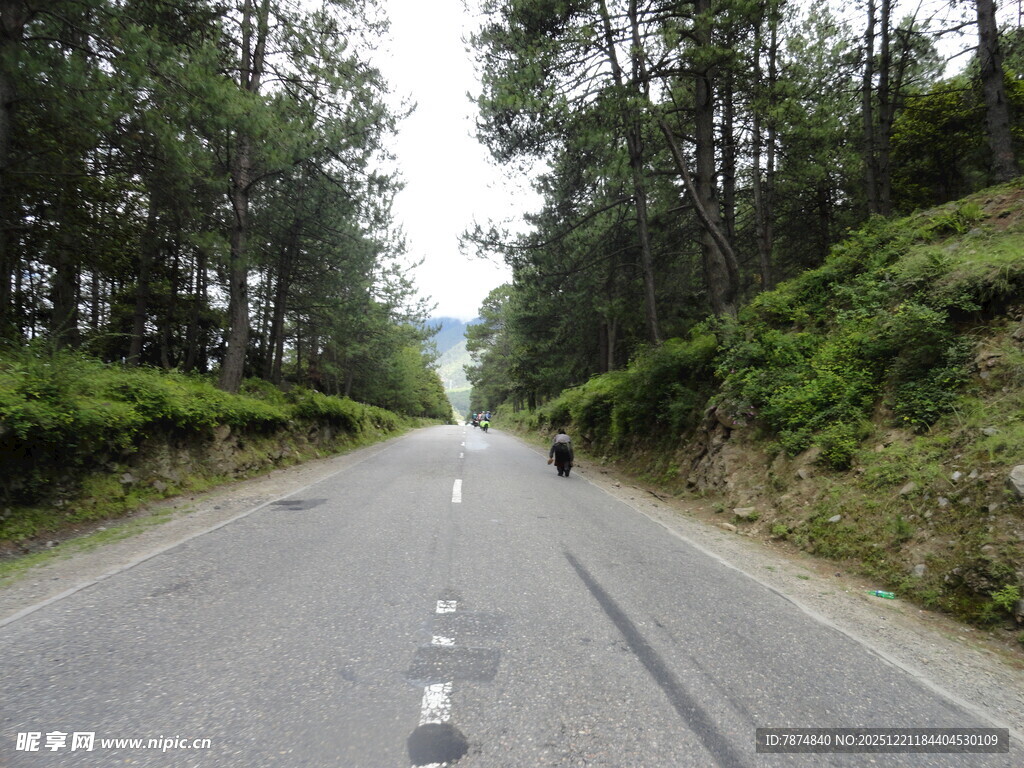 山间公路 静谧自然之景