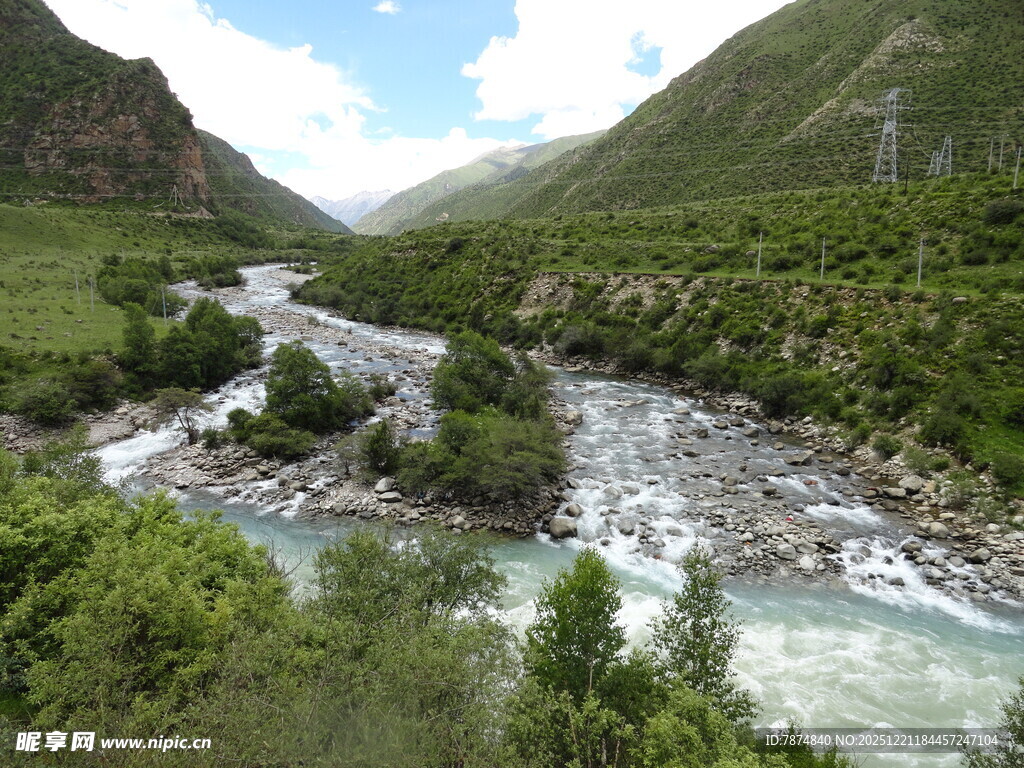山间溪流穿林而过