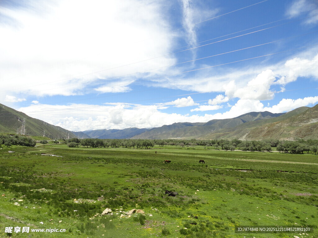 草原风光 远山蓝天相衬