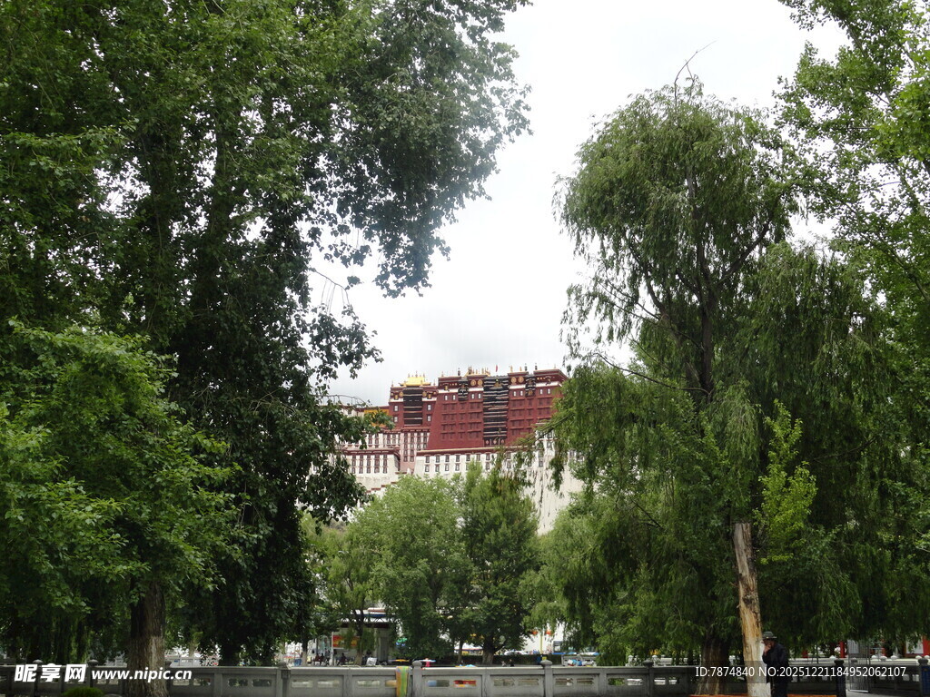 绿树掩映下的红顶建筑