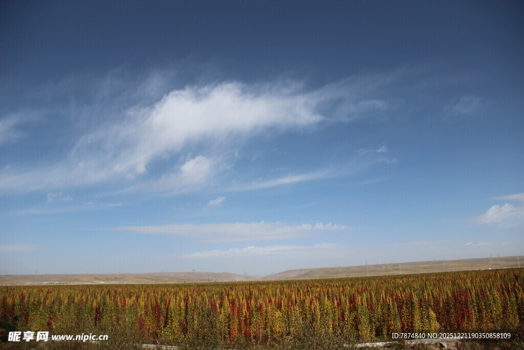 广袤田野上的蓝天白云