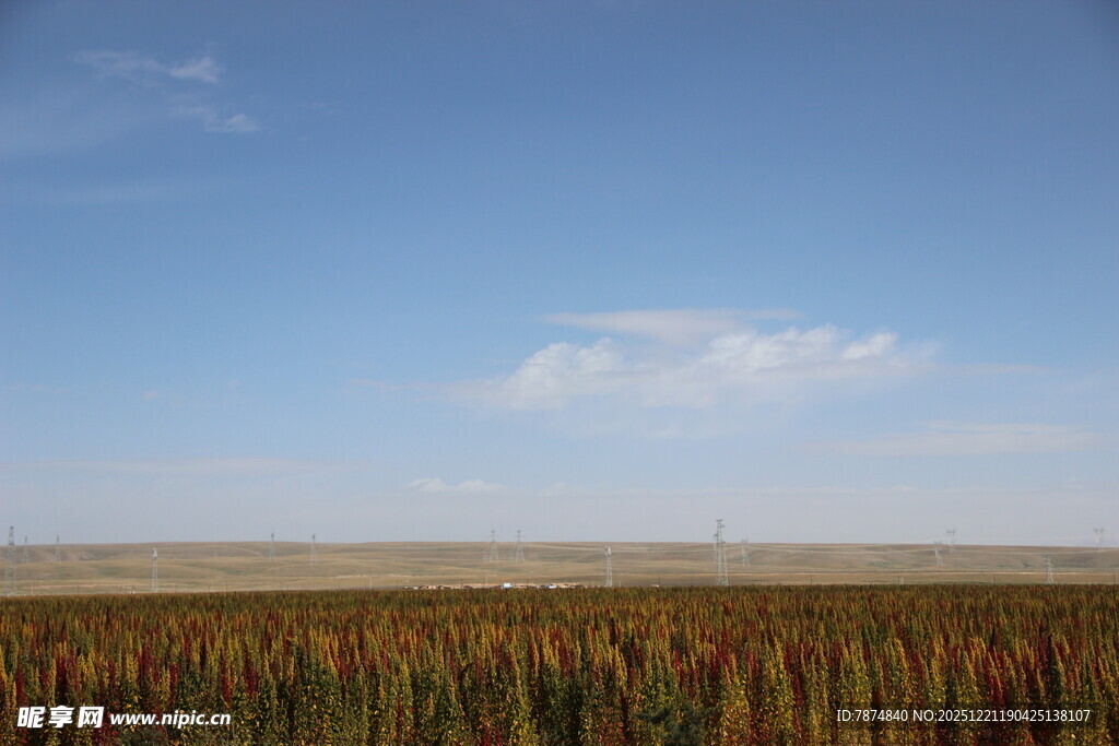 广阔田野与蓝天美景